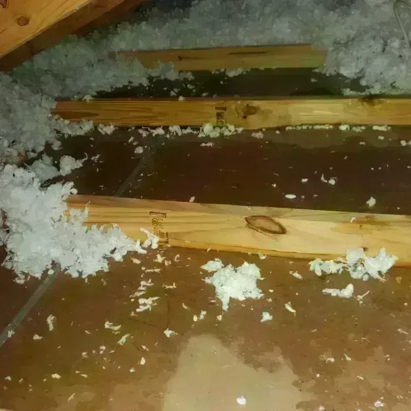 Attic Water Damage in Dana, NC