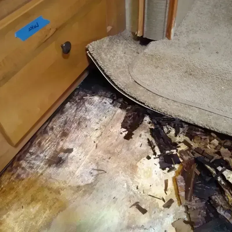 Wood Floor Water Damage in Dana, NC